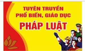 Hướng dẫn công tác tuyên truyền, phổ biến, giáo dục pháp luật trong công nhân, viên chức, lao động năm 2024